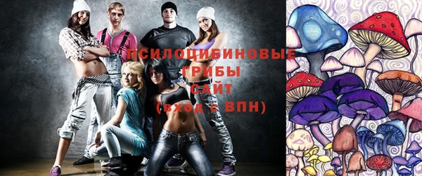 шишки Алексеевка