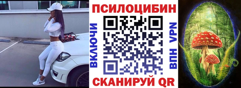 магазин Новая Усмань Псилоцибиновые грибы MAGIC MUSHROOMS